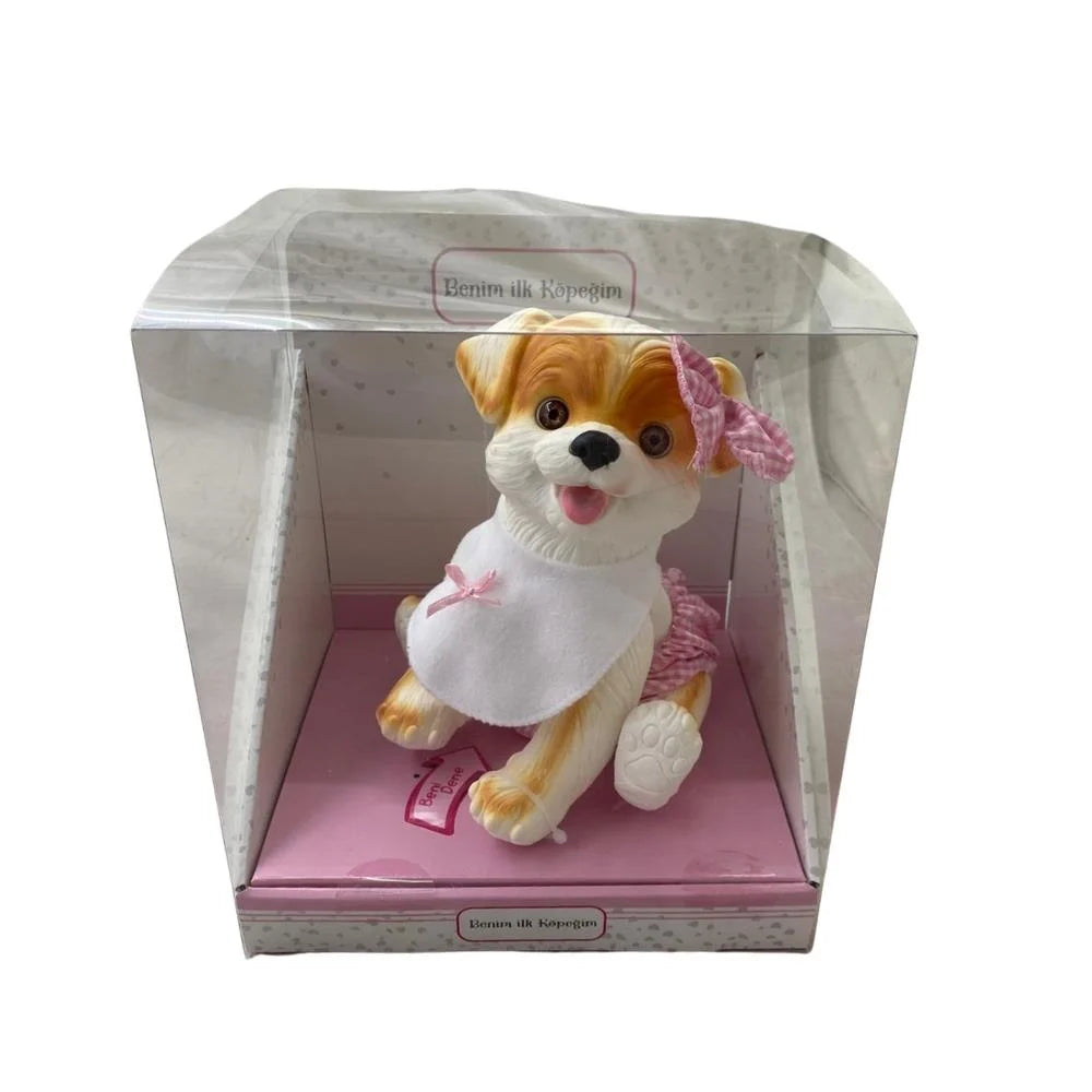 Kutuda Beni̇m İlk Köpeği̇m (ERPA 662416)
