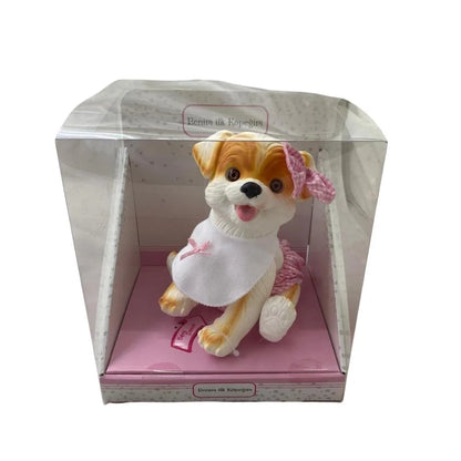 Kutuda Beni̇m İlk Köpeği̇m (ERPA 662416)