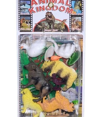 VAKUMDA EVCİL HAYVANLAR