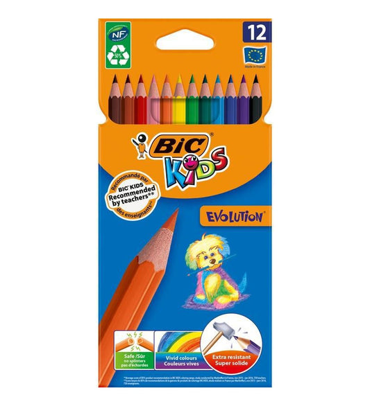 Bic Kuru Boya Evoltion Karton Kutu 12 Lı