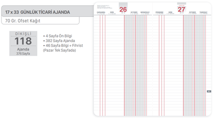 KASA AJANDASI 118-TCK GIPTA 17X33